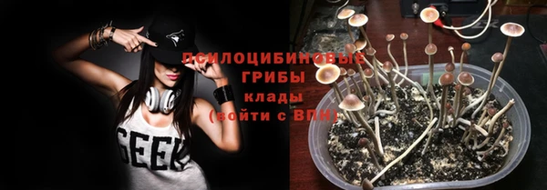 гашик Вязьма