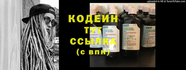 гашик Вязьма