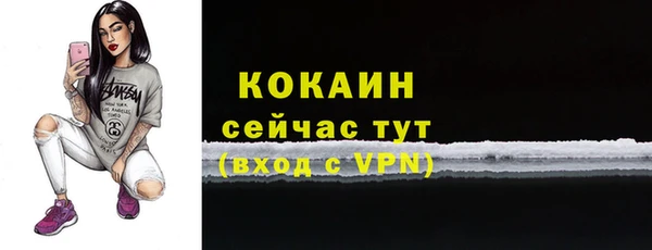 гашик Вязьма